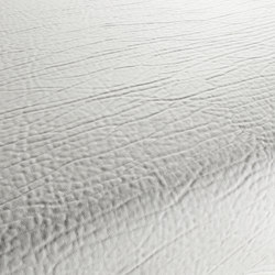 FICTION CA1087/090 | Upholstery fabrics | Chivasso