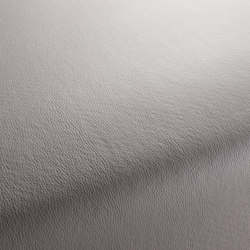 MERCURY CA7933/092 | Upholstery fabrics | Chivasso