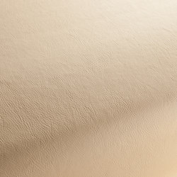 GAUCHO 1-1142-171 | Upholstery fabrics | JAB Anstoetz