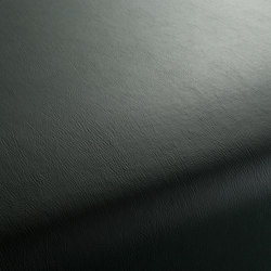 GAUCHO 1-1142-239 | Upholstery fabrics | JAB Anstoetz