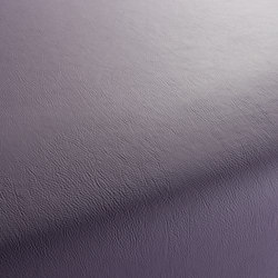 GAUCHO 1-1142-288 | Upholstery fabrics | JAB Anstoetz