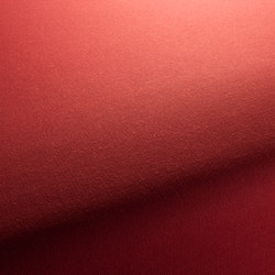 COLORADO 1-1205-010 | Upholstery fabrics | JAB Anstoetz
