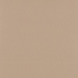 Vintage Maybach | Colour beige | Camira Fabrics