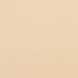 Vintage Evoque | Colour beige | Camira Fabrics