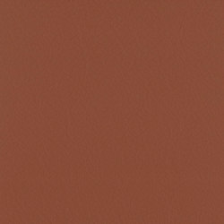 Vintage Camargue | Colour brown | Camira Fabrics