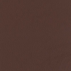Vintage Mustang | Colour brown | Camira Fabrics