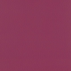 Vintage Portal | Colour pink / magenta | Camira Fabrics
