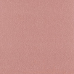 Vintage Radical | Colour pink / magenta | Camira Fabrics