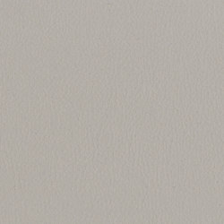 Vita Seal | Colour grey | Camira Fabrics