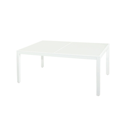 Allux dining table 160x100 cm (glass)