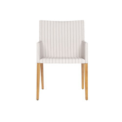 Twizt club dining armchair | with armrests | Mamagreen