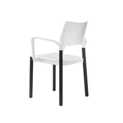3600/4 Arn | Chairs | Kusch+Co