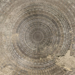 Mandala | Pattern circles / ellipses | Wall&decò