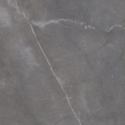 Marmi Cendre Grey | Ceramic tiles | FMG