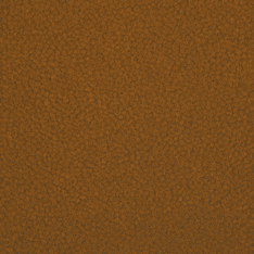 Westbond Ibond Naturals sun stroke | Colour brown | Forbo Flooring