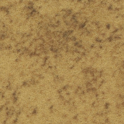 Flotex Colour | Caligary amber | Carpet tiles | Forbo Flooring
