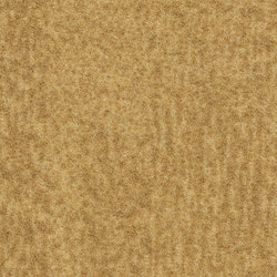 Flotex Colour | Penang amber | Carpet tiles | Forbo Flooring