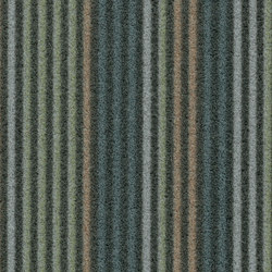 Flotex Linear | Complexity forest