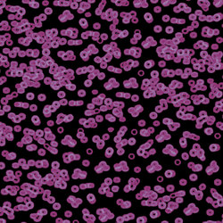Flotex Sottsass | Bacteria 990104 | Carpet tiles | Forbo Flooring