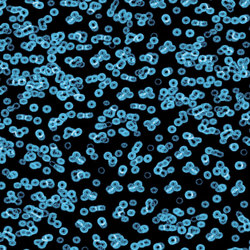 Flotex Sottsass | Bacteria 990105 | Carpet tiles | Forbo Flooring