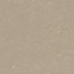 Marmoleum Concrete fossil | Linoleum rolls | Forbo Flooring