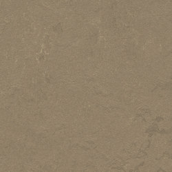 Marmoleum Concrete silt | Linoleum rolls | Forbo Flooring