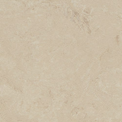 Marmoleum Concrete cloudy sand | Linoleum rolls | Forbo Flooring