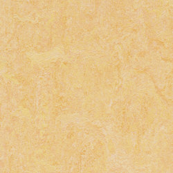 Marmoleum Fresco natural corn | Linoleum rolls | Forbo Flooring