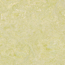 Marmoleum Fresco green wellness | Linoleum Auslegware | Forbo Flooring