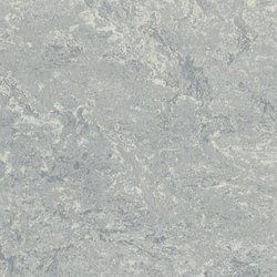 Marmoleum Real dove grey | Linoleum flooring | Forbo Flooring