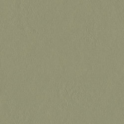 Marmoleum Walton | Cirrus rosemary green | Linoleum rolls | Forbo Flooring
