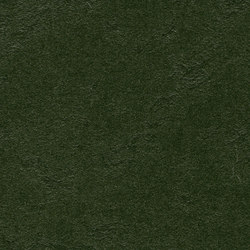 Marmoleum Walton | Cirrus bottle green |  | Forbo Flooring