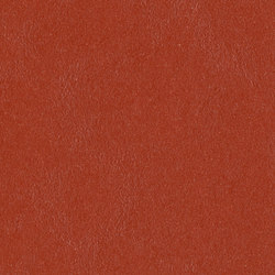 Marmoleum Walton | Cirrus Berlin red | Linoleum rolls | Forbo Flooring
