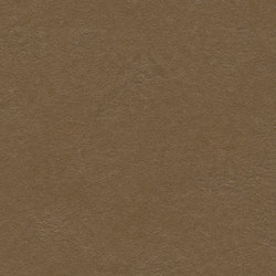 Marmoleum Walton | Cirrus leather | Linoleum rolls | Forbo Flooring