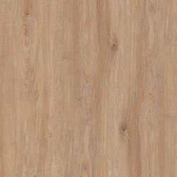 Allura Click mid peruse oak | Synthetic panels | Forbo Flooring