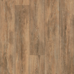 Eternal Design | Wood brushed timber | Colour brown | Forbo Flooring