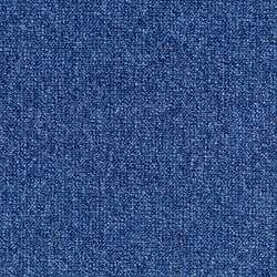 Concept 509 - 426 | Velour | Carpet Concept
