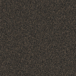 Nylloop 0611 Brownie | Sound absorbing flooring systems | OBJECT CARPET