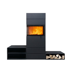 Dexter 2.0 | Closed fireplaces | Austroflamm