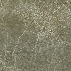 Pampas Dolphin | Leather tiles | Alphenberg Leather