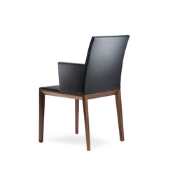 Andoo chair with armrests
