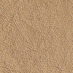 Gusto Sabbia | Colour beige | Alphenberg Leather