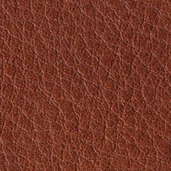 Gusto Burn | Colour brown | Alphenberg Leather
