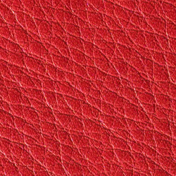 Gusto Rose | Colour red | Alphenberg Leather