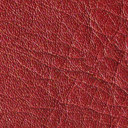 Gusto Ruby | Colour red | Alphenberg Leather