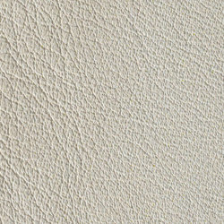 Gusto Stone | Colour beige | Alphenberg Leather