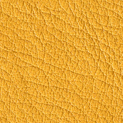 Gusto Bee | Colour yellow | Alphenberg Leather