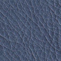 Gusto Nightfall | Colour blue | Alphenberg Leather