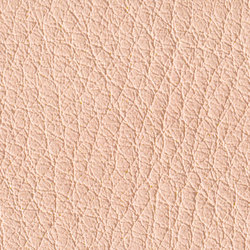 Gusto Blush | Colour pink / magenta | Alphenberg Leather