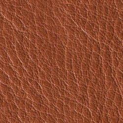 Gusto Cognac | Natural leather | Alphenberg Leather